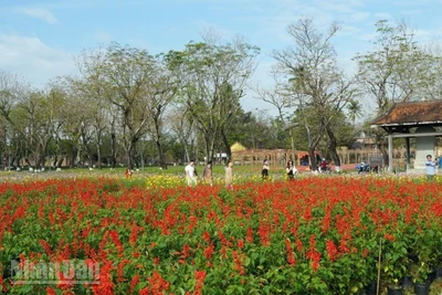 Tết Phú Xuân - Sắc vị Kinh kỳ hút khách từ những ngày mới chuẩn bị.