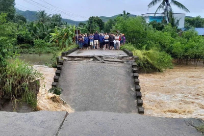 Cầu Cây Sung nằm trên địa bàn thôn Phước An, xã Bình Minh (Quảng Ngãi) bị nước lũ cuốn sập, gây chia cắt 316 hộ dân.