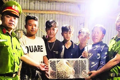 Nhóm thanh niên phường Bắc Gia Nghĩa bàn giao cá thể tê tê cho lực lượng công an phường.