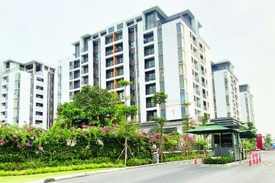 Một dự án nhà ở xã hội ở Quận 7 (cũ) vừa hoàn thành và đưa vào sử dụng.