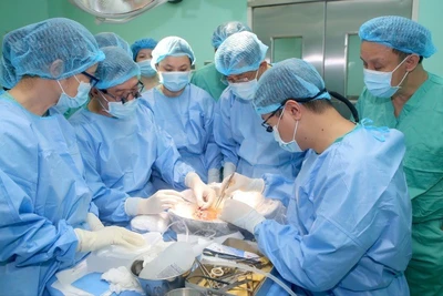 Lĩnh vực ghép tạng tiếp tục được bệnh viện xác lập là mũi nhọn chuyên môn hàng đầu.