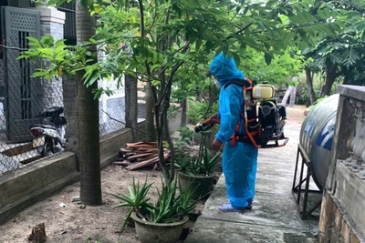 Sở Y tế khuyến cáo không chủ quan, không giấu dịch và không để xảy ra tình trạng lây lan từ những thói quen thiếu an toàn trong tiêu dùng.