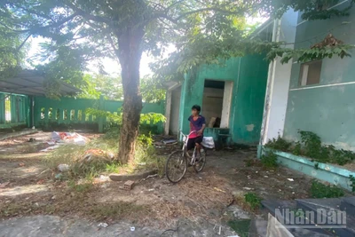 Do không sớm triển khai phương án bảo vệ, khu nhà trụ sở được giao cho Viện quy hoạch xây dựng đã bị kẻ gian phá hoại, lấy cắp nhiều tài sản.