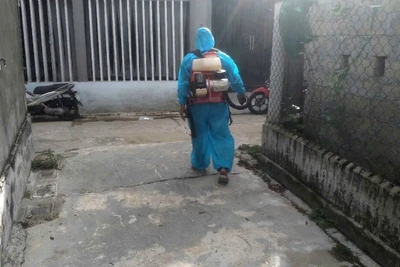 Cơ quan chức năng tiến hành khử khuẩn khu vực phát hiện lợn có dấu hiệu bất thường.