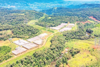 Những mô hình nông nghiệp công nghệ cao tại Măng Đen.