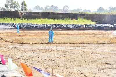 Xử lý dioxin tại sân bay Biên Hòa.
