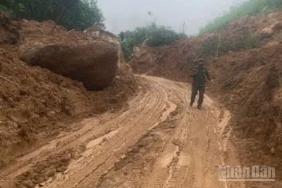 Với tinh thần làm việc xuyên đêm không ngơi nghỉ, đến rạng sáng 31/10, điểm sạt lở nghiêm trọng tại Km15+900 và nhiều điểm sạt lở khác trên tuyến ĐT.623 đã khắc phục xong, bảo đảm giao thông vào đến trung tâm xã Sơn Tây (Quảng Ngãi). 