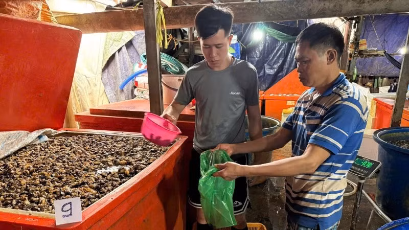 Cơ sở các đối tượng ngâm ốc bằng hóa chất để đưa ra thị trường tiêu thụ. (Ảnh: Công an cung cấp)