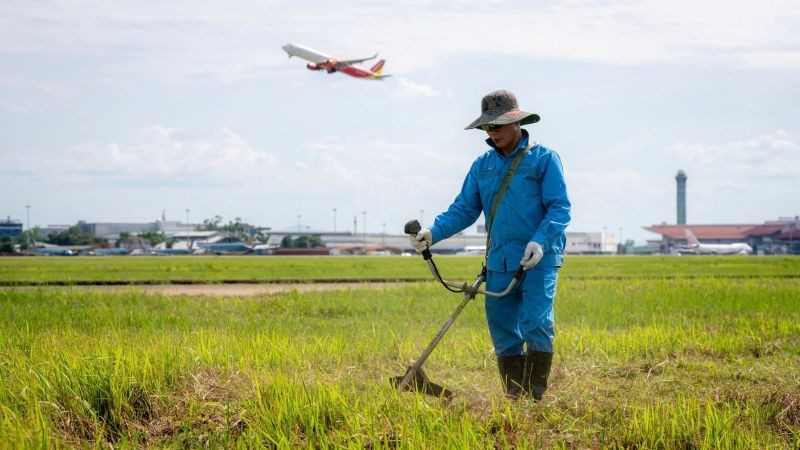 voi-dieu-kien-thoi-tiet-mua-nang-that-thuong-co-moc-nhanh-cong-tac-cat-co-khu-bay-vi-the-duoc-trien-khai-thuong-xuyen-lien-tuc-dam-bao-co-khong-moc-qua-30cm-1.jpg