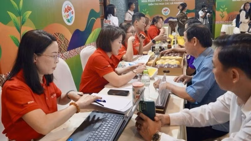 3-day-la-lan-dau-tien-central-retail-cu-doi-ngu-thu-mua-hung-hau-ket-noi-voi-cac-nha-cung-cap-tiem-nang-cua-tinh-gia-lai-5715.jpg