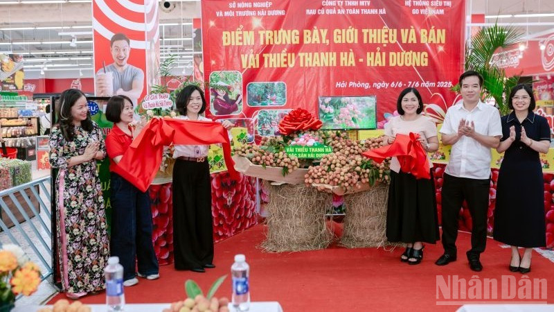 Khách tham quan hào hứng trải nghiệm vải thiều Thanh Hà. ndo_br_1-cac-dai-bieu-thuc-hien-nghi-thuc-cat-bang-khai-truong-mo-ban-san-pham-vai-thieu-thanh-ha-tai-he-thong-go.jpg
