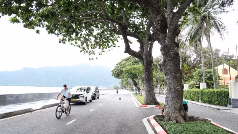 Đặc khu Côn Đảo được định hướng phát triển hiện đại theo hướng bảo tồn không gian xanh. 