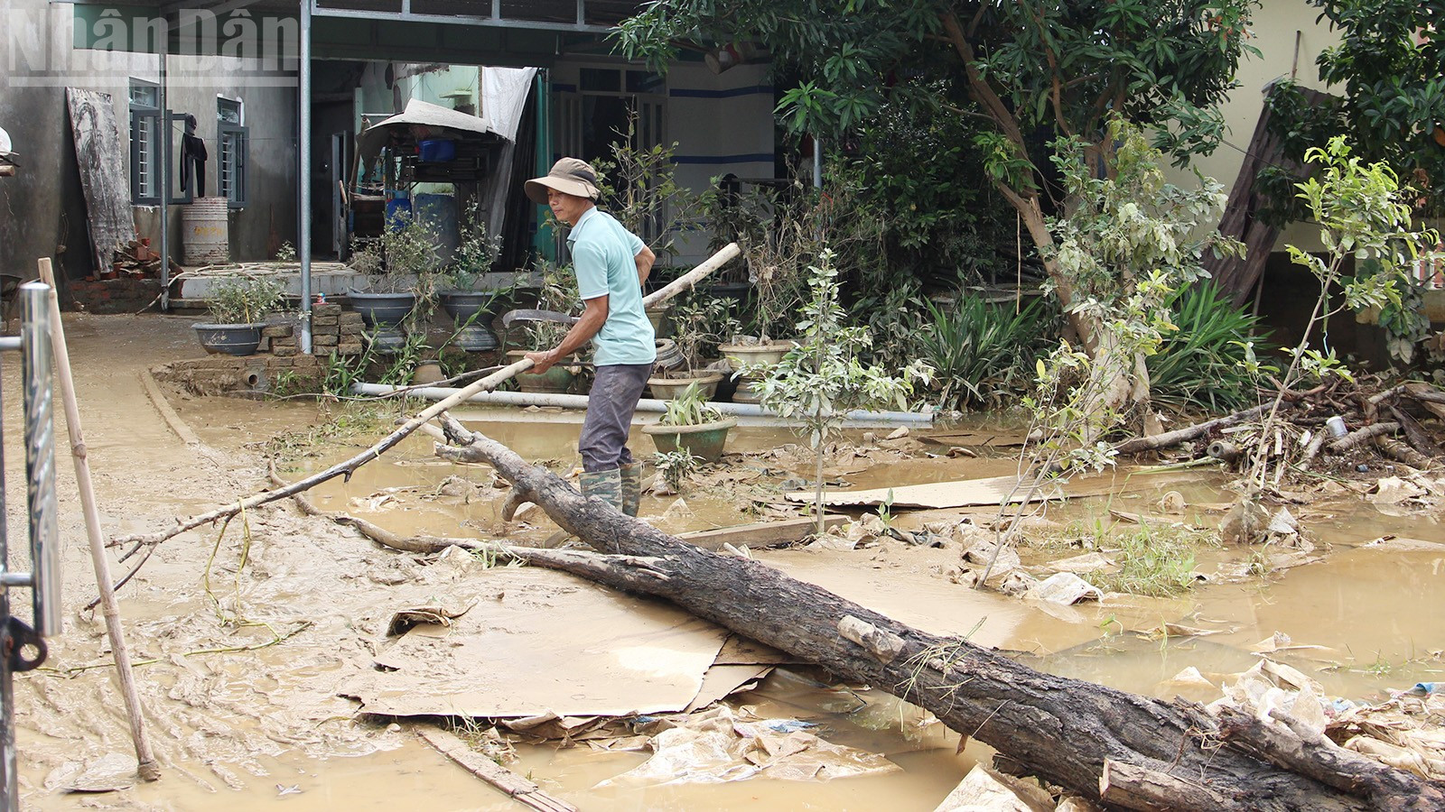 Omdat de boom de tuin in was gevlogen, greep het gezin de kans om hem om te hakken voor brandhout. ndo_tl_9.jpg