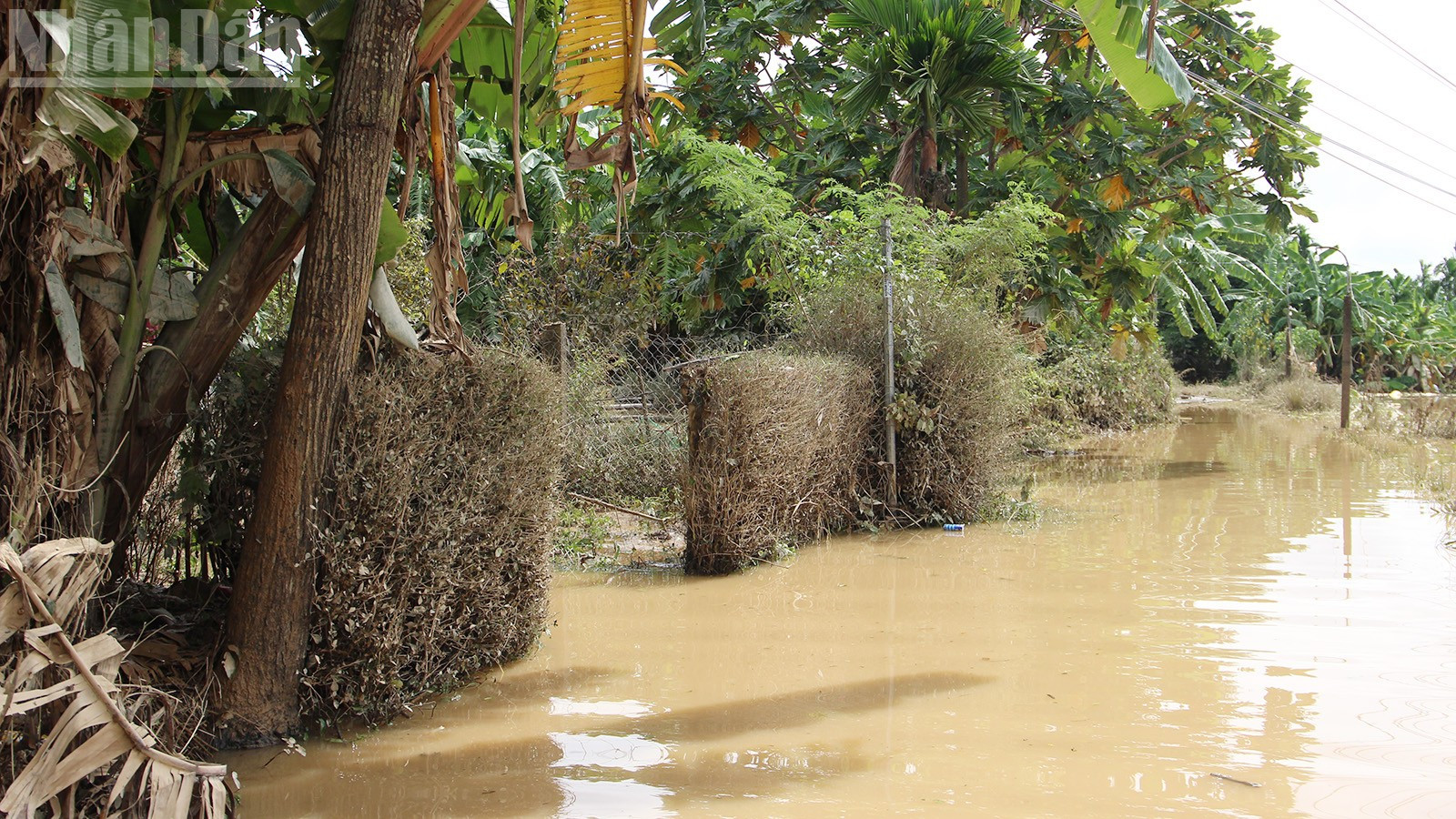 In sommige woonwijken is nog steeds water beschikbaar. ndo_tl_8.jpg