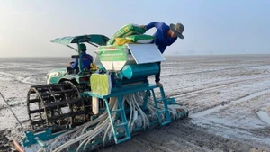Phân bón Đầu Trâu Bio-Canxi có nhiều tính năng cải tạo đất
