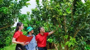"Tiếp sức" cho kinh tế tư nhân phát triển