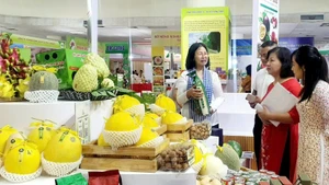Sử dụng nền tảng số để bán hàng đã giúp nhiều cá nhân, hợp tác xã, đơn vị kinh doanh quảng bá và tiêu thụ được nhiều sản phẩm hơn.