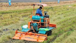 Công ty phân bón Bình Điền.
