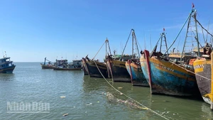 Hơn 2.100 tàu cá hết hạn đăng kiểm và giấy phép đã có đơn vị cấp phép.