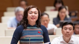 Phó Trưởng Đoàn chuyên trách phụ trách Đoàn đại biểu Quốc hội tỉnh Hòa Bình Đặng Bích Ngọc phát biểu tại hội trường. (Ảnh: DUY LINH)
