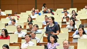 Đại biểu Trần Thị Thu Phước (Đoàn Kon Tum) phát biểu tại hội trường. (Ảnh: DUY LINH)