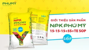 Phân bón Phú Mỹ chính thức ra mắt sản phẩm mới NPK PHÚ MỸ 15-15-15+5S+TE SOP sử dụng 100% Kali Sulphate
