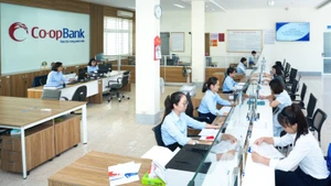 Giao dịch khách hàng tại Co-opBank chi nhánh Ninh Bình.