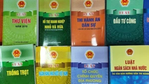 Nâng cao chất lượng kiểm tra, rà soát văn bản quy phạm pháp luật. (Ảnh minh hoạ. Nguồn: TT)