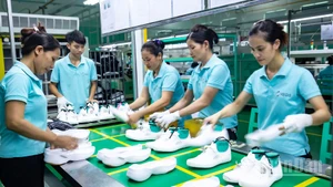 Gia công, sản xuất giày xuất khẩu tại Công ty TNHH Regis.