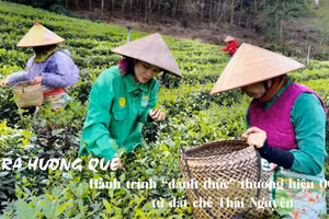 Từ bàn tay người nông dân đến sản phẩm OCOP, các sản phẩm chè không chỉ là thức uống mà là kết tinh văn hóa, sinh kế và giấc mơ hội nhập.