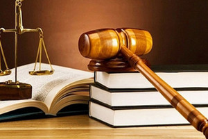 Chính phủ ban hành Kế hoạch triển khai thi hành Luật Ban hành văn bản quy phạm pháp luật