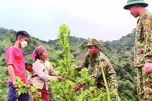 Cán bộ Biên phòng Đồn Pa Ủ (tỉnh Lai Châu) hướng dẫn người dân trồng cây ăn quả trên đất dốc.