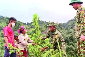 Cán bộ Biên phòng Đồn Pa Ủ (tỉnh Lai Châu) hướng dẫn người dân trồng cây ăn quả trên đất dốc.