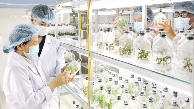Nhu cầu nhân lực công nghệ sinh học tăng mạnh, đòi hỏi kỹ năng số và liên ngành
