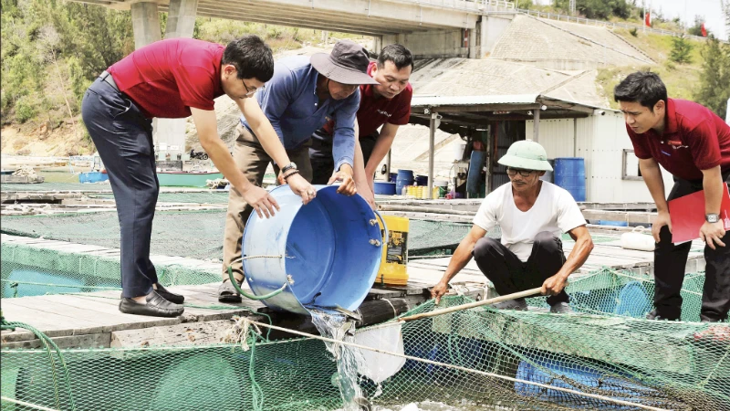 Ngân hàng giảm lãi suất, hỗ trợ nông dân và doanh nghiệp phục hồi sau thiên tai