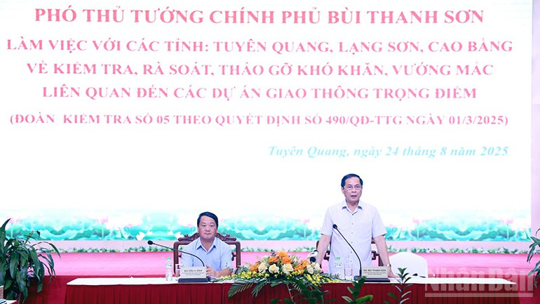 Phó Thủ tướng Chính phủ Bùi Thanh Sơn phát biểu tại buổi làm việc. ndo_br_anh-3.jpg