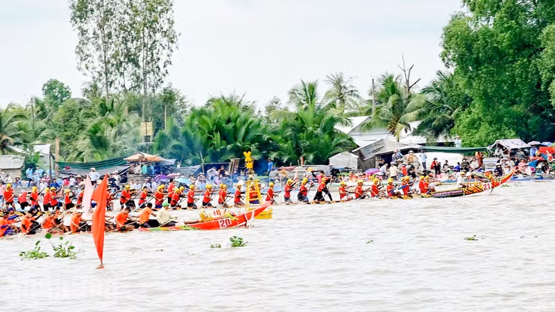 Giải ghe ngo tại Ngày hội Văn hóa, Thể thao và Du lịch đồng bào Khmer tỉnh An Giang lần thứ 17 năm 2025. 