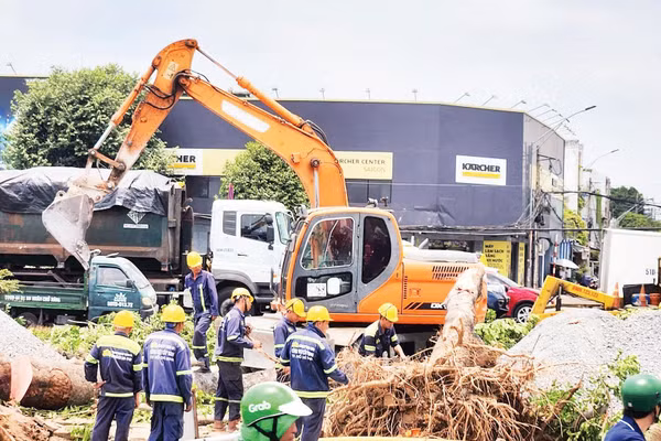 Bù đắp mảng xanh ở các công trình trọng điểm