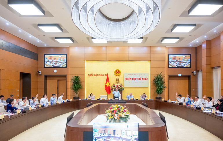 Hội đồng Bầu cử quốc gia biểu quyết thông qua về nguyên tắc các dự thảo. (Ảnh: DUY LINH) 4a-0182.jpg