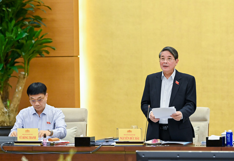 Phó Chủ tịch Quốc hội Nguyễn Đức Hải phát biểu ý kiến tại phiên họp. (Ảnh: Duy Linh) pho-ctqh-nguyen-duc-hai.jpg