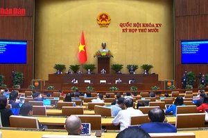 [Video] Hơn 96% vụ việc liên quan đến quy hoạch, quản lý và sử dụng đất đai đã được giải quyết