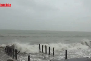 [Video] Bão số 15 giảm cường độ, đổi hướng và tiếp tục di chuyển chậm