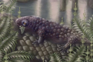 Hình ảnh minh họa về Tyrannoroter heberti. (Ảnh: CNN)