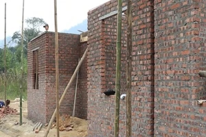 [Video] Lào Cai đẩy nhanh tiến độ làm nhà cho người dân vùng lũ 