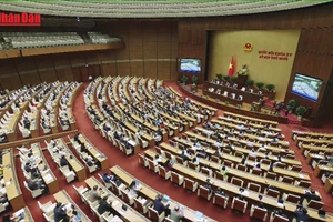 [Video] Nhiều điểm sáng trong thực hiện 16 Nghị quyết của Quốc hội về giám sát chuyên đề, chất vấn