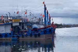 [Video] Thời tiết ngày 15/3: Bắc Bộ mưa phùn, biển nhiều nơi gió mạnh