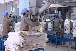 [Video] Doanh nghiệp, hiệp hội chung tay giữ nhịp sản xuất nông nghiệp