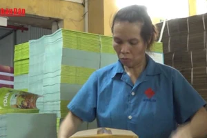 [Video] Cấp phát miễn phí toàn bộ sách giáo khoa cho học sinh vùng lũ 