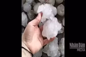 [Video] Mưa đá tiếp tục xuất hiện, gây thiệt hại tại Nghệ An và Hà Tĩnh