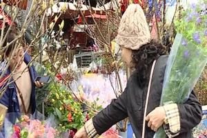 [Video] Chợ hoa Hà Nội nhộn nhịp trước Tết